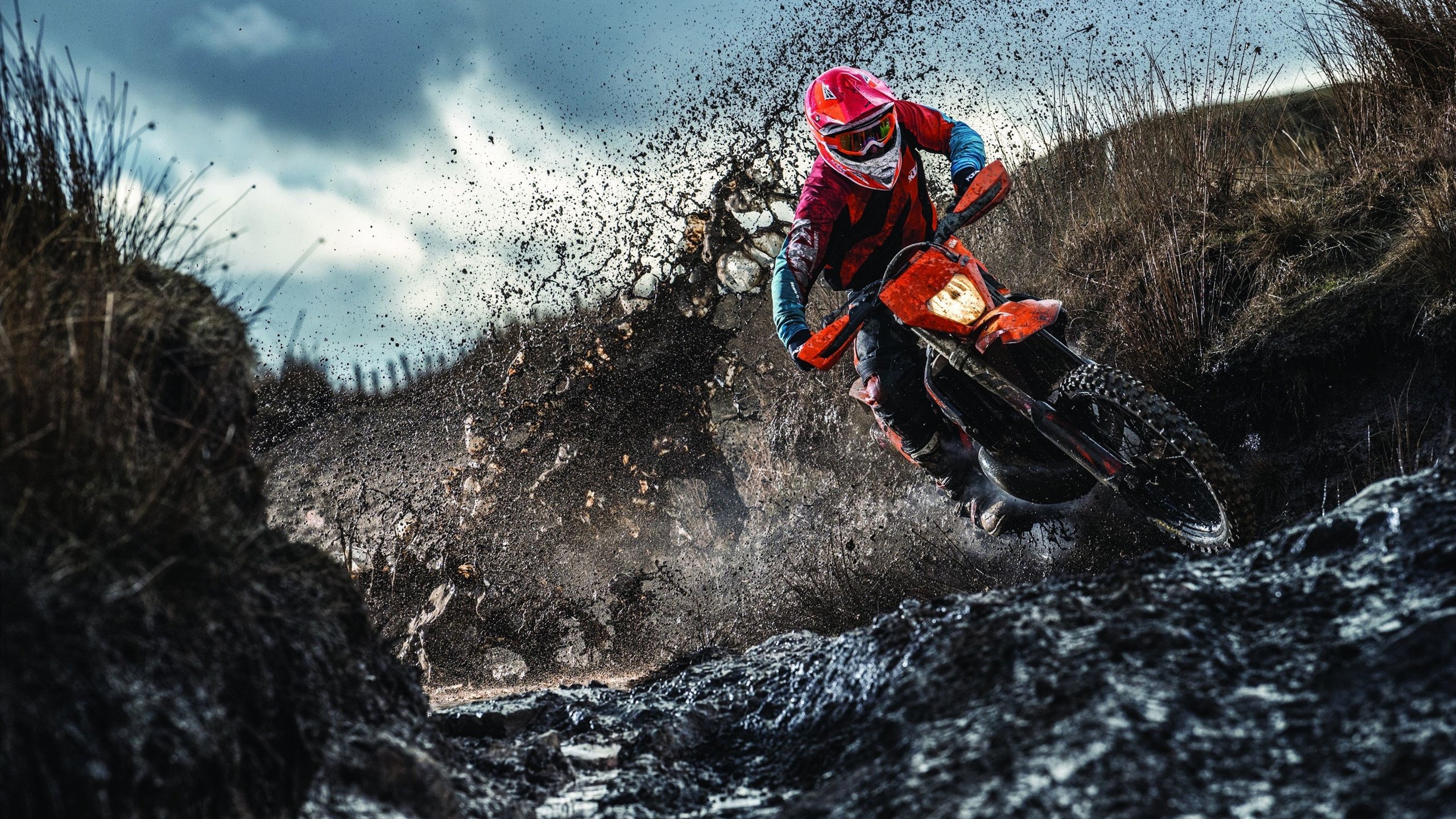 mk体育直播官网-伦敦双雄再燃战火！切尔西热刺争抢波尔图前锋，前蓝军主帅愿8000万欧元放行